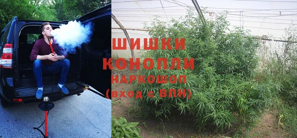 PSILOCYBIN Богданович