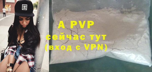 прущие грибы Богородск