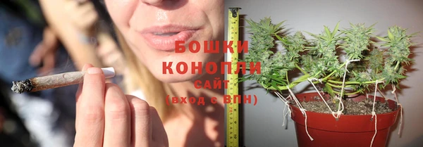 прущие грибы Богородск