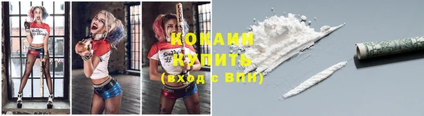 прущие грибы Богородск
