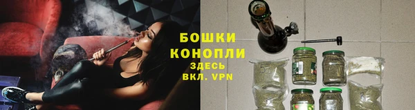 прущие грибы Богородск