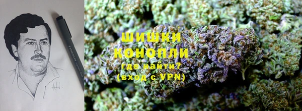 PSILOCYBIN Богданович