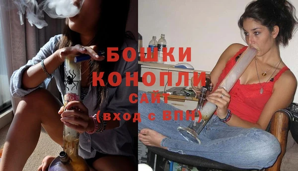 PSILOCYBIN Богданович