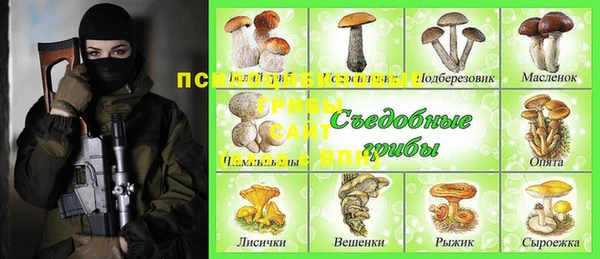 PSILOCYBIN Богданович