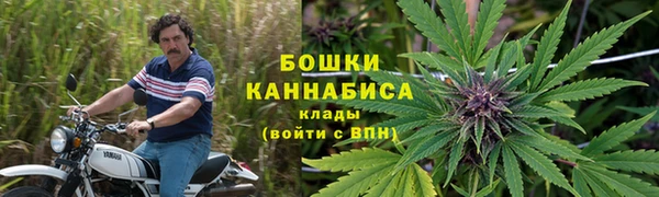PSILOCYBIN Богданович
