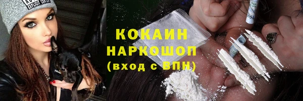 прущие грибы Богородск